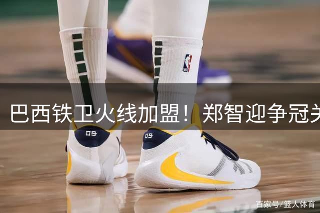 巴西铁卫火线加盟！郑智迎争冠关键拼图 客战河南防线再升级