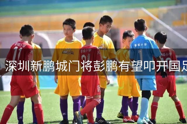 深圳新鹏城门将彭鹏有望叩开国足大门